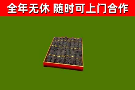 南溪区回收海参